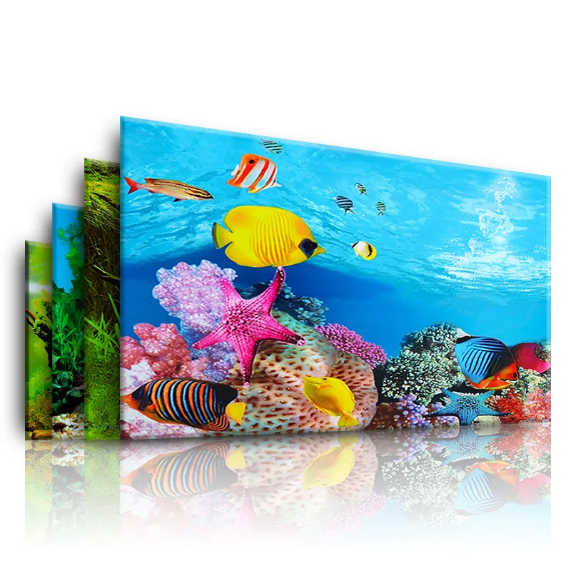 Aquarium Fish Only - Background for Aquarium 3d Sticker Poster