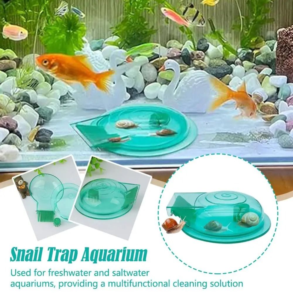 Aquarium Fish Escape - Freshwater Saltwater Aquarium Snail Trap Effective
