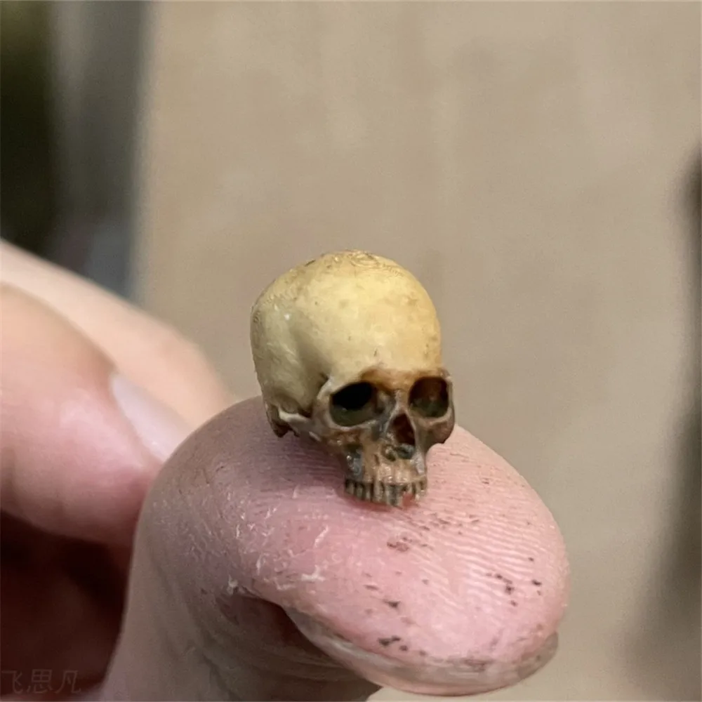Aquarium Fish Only - Mini Skull High Quality Miniature Model