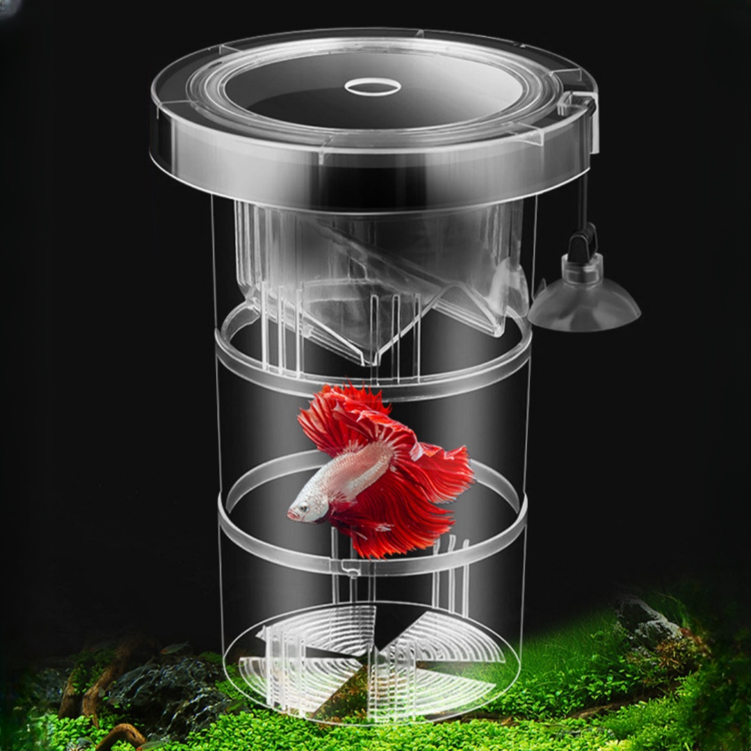 Aquarium Fish Escape - Acrylic Floating Fish Breeding Isolation Box