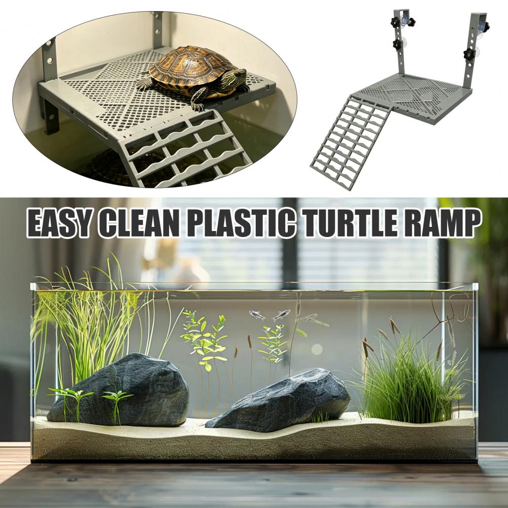 Aquarium Fish Types - Aquarium Decoration Solid Form Hanging Turtle