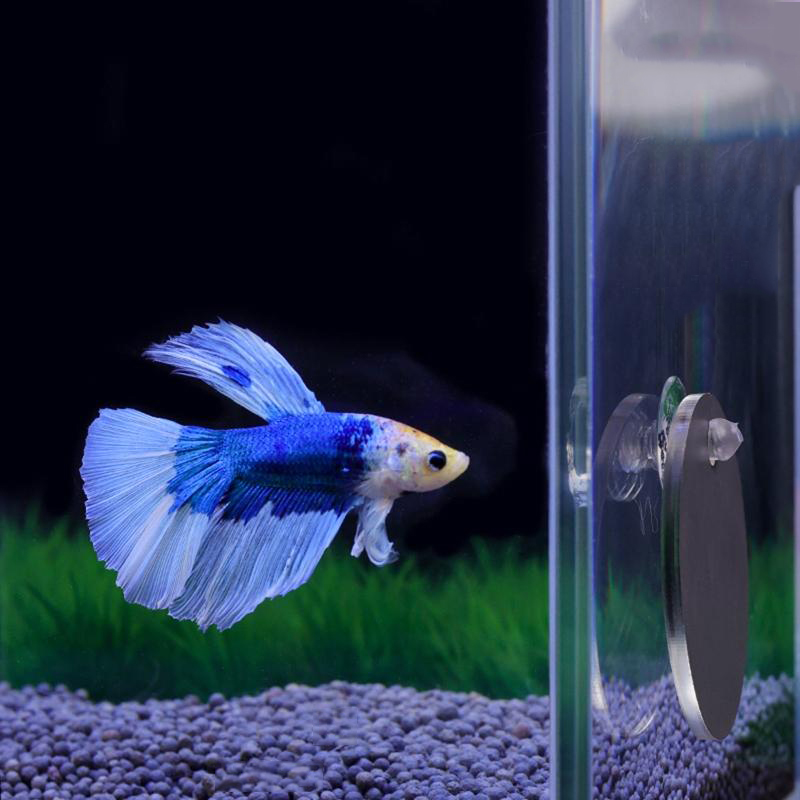 Aquarium Fish Escape - Aquarium Betta Mirror Fish Tank Floating