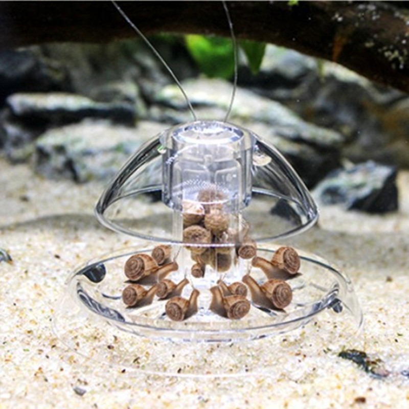 1PCS Fish Tank Aquarium Cleane - огляд і ціна Aquarium Fish Escape