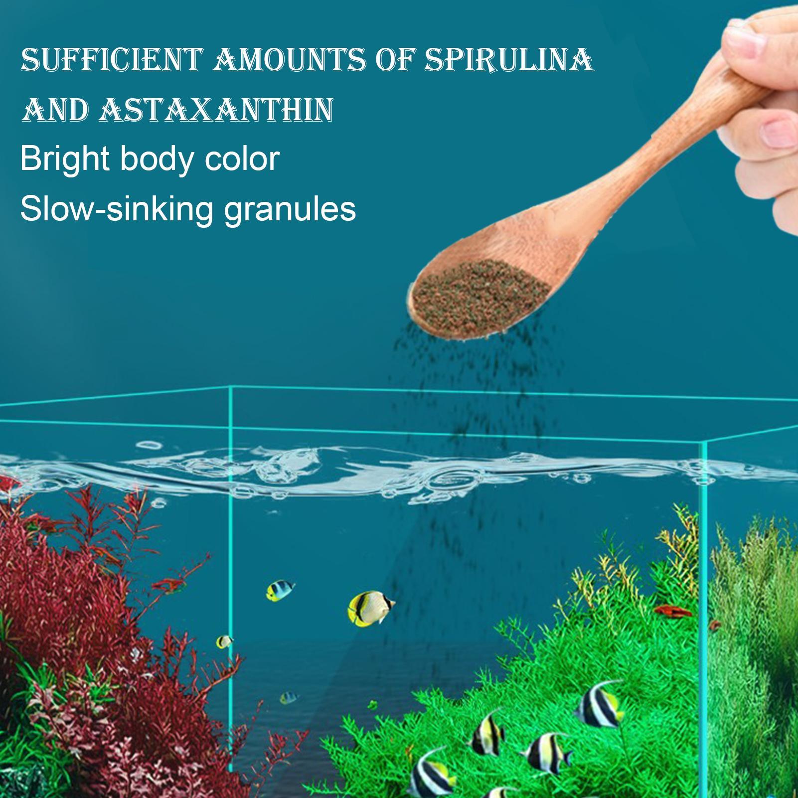 Betta Feed Ornamental Fish Foo - огляд і ціна Aquarium Fish Restaurant