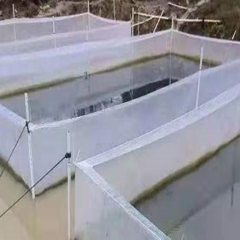 White Anti Escape net Cage eel - огляд і ціна Aquarium Fish Escape