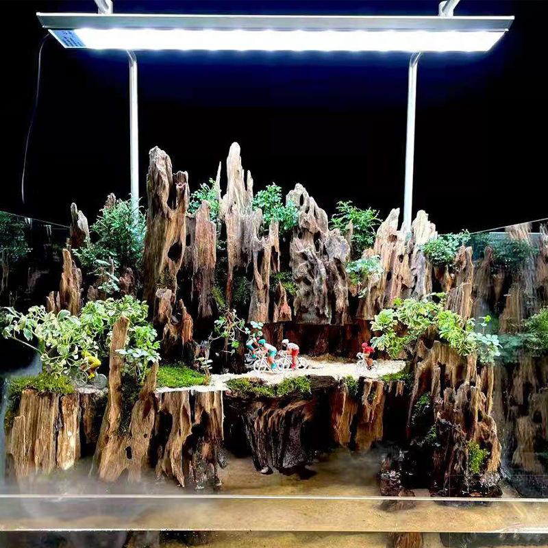 Shrimp Wood Aquarium Decor, Dr - огляд і ціна Aquarium Fish Only