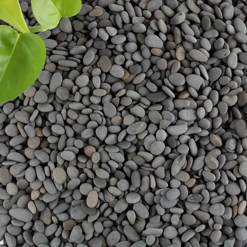 20Pcs Natural River Rocks Smoo - огляд і ціна Aquarium Fish Types