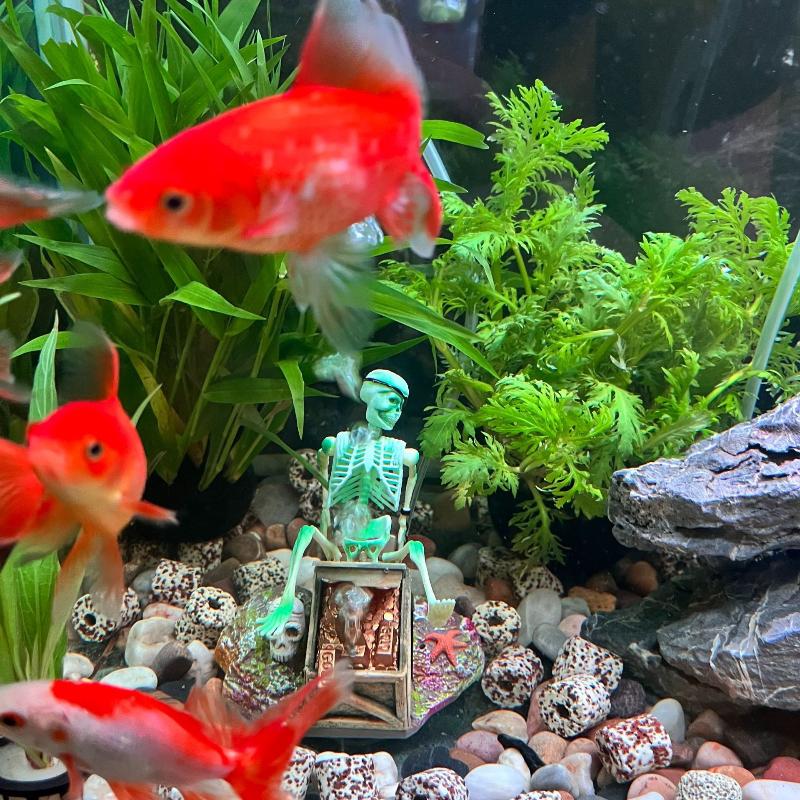 Fish Tank Aerobic Landscape Bu - огляд і ціна Aquarium Fish Only