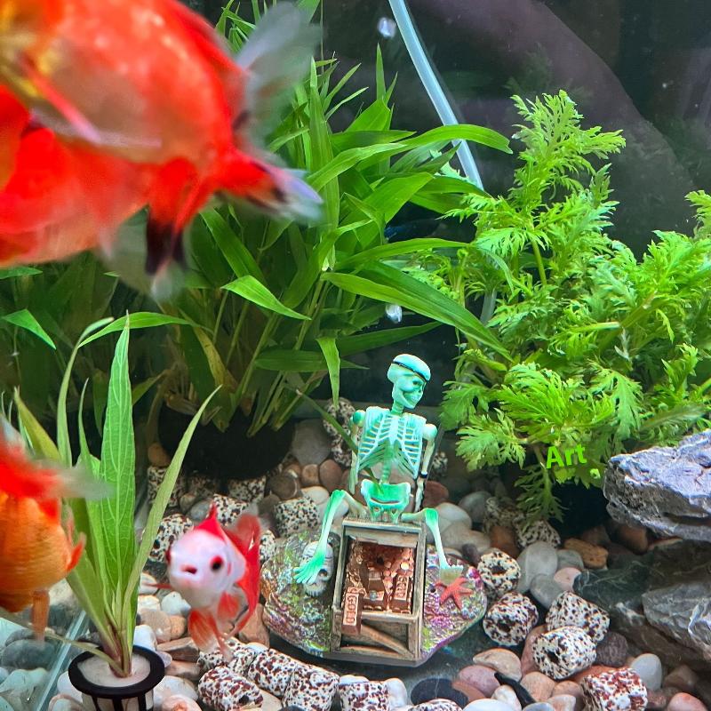 Fish Tank Aerobic Landscape Bu - огляд і ціна Aquarium Fish Only