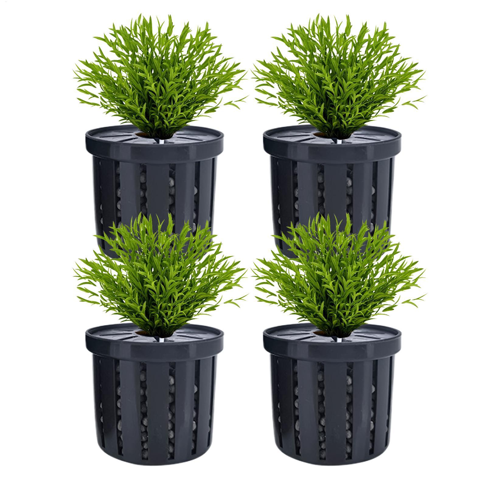 4pcs Aquarium Plant Holder Bas - огляд і ціна Aquarium Fish Restaurant
