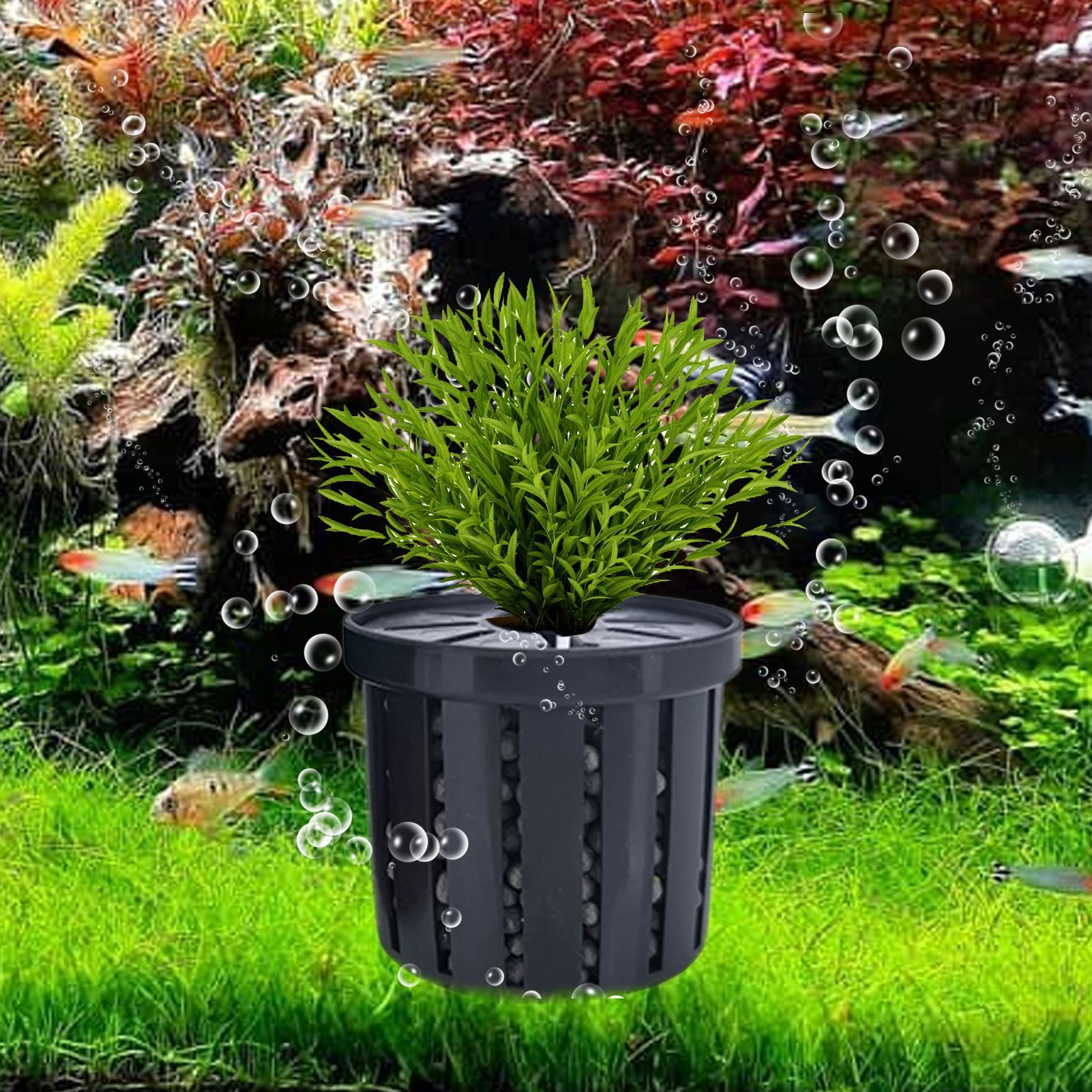 4pcs Aquarium Plant Holder Bas - огляд і ціна Aquarium Fish Restaurant