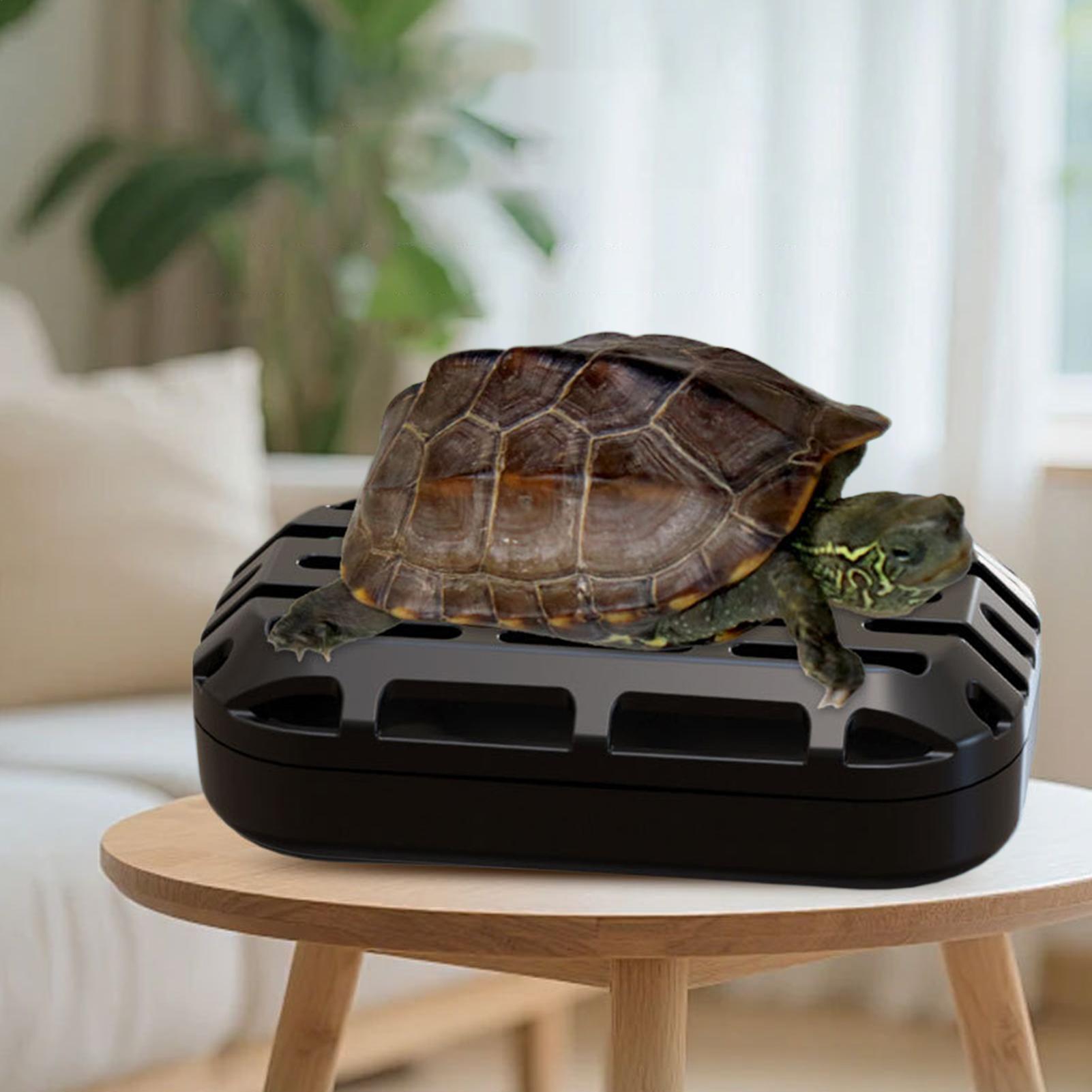 Turtle Poop Catcher Suction Cu - огляд і ціна Aquarium Fish Restaurant
