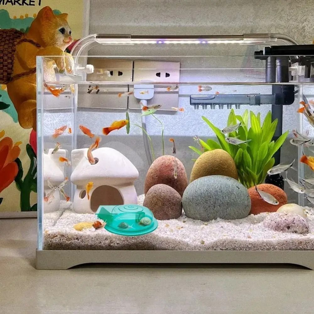 Freshwater Saltwater Aquarium  - огляд і ціна Aquarium Fish Escape