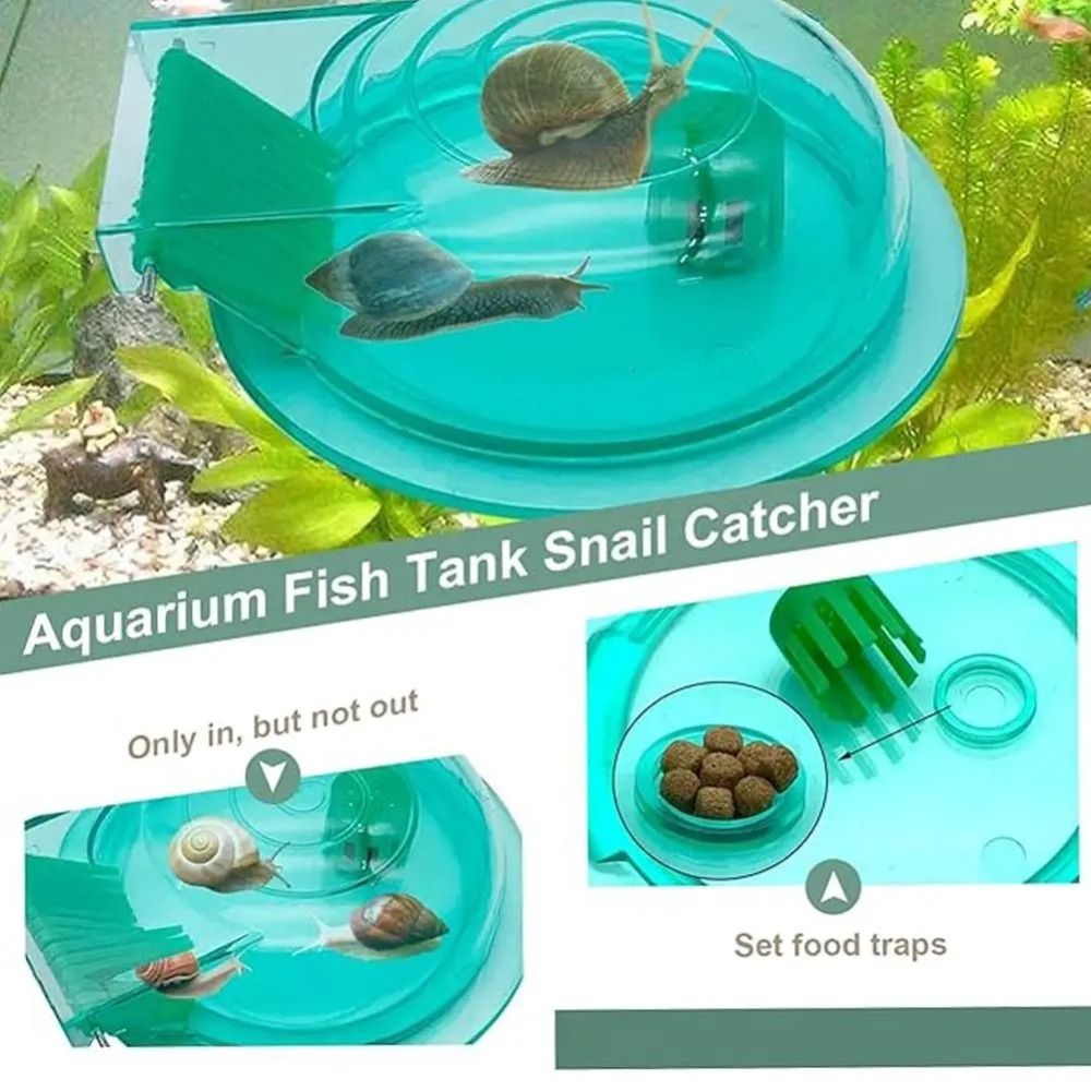 Freshwater Saltwater Aquarium  - огляд і ціна Aquarium Fish Escape