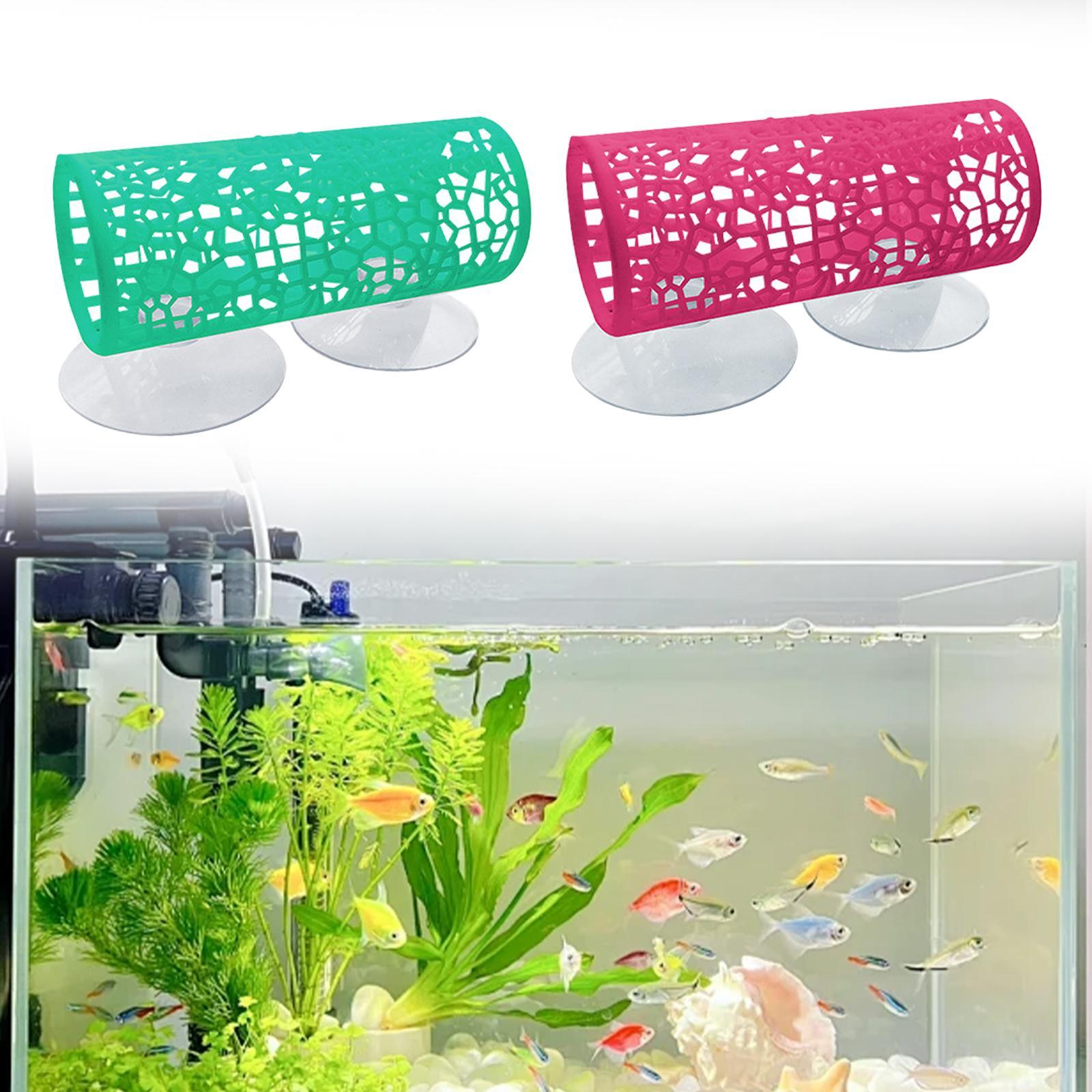 Betta -Tunnel -hiding Place, B - огляд і ціна Aquarium Fisch