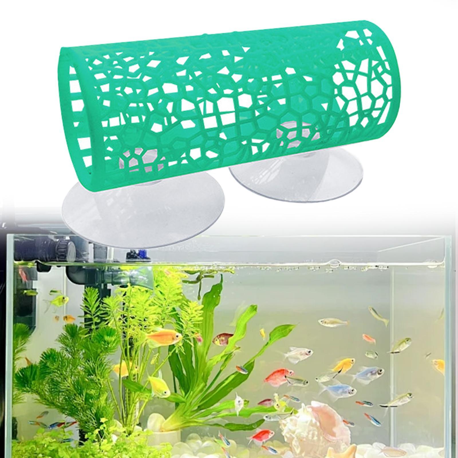 Betta -Tunnel -hiding Place, B - огляд і ціна Aquarium Fisch