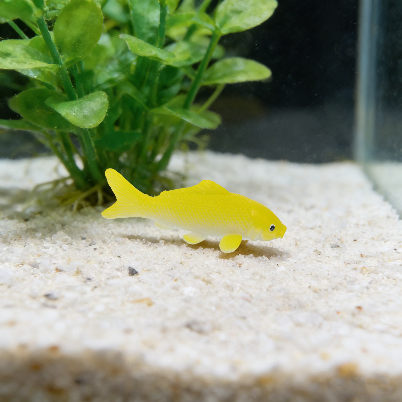 3pcs Fish Crafts Toys Realisti - огляд і ціна Aquarium Fish Pond