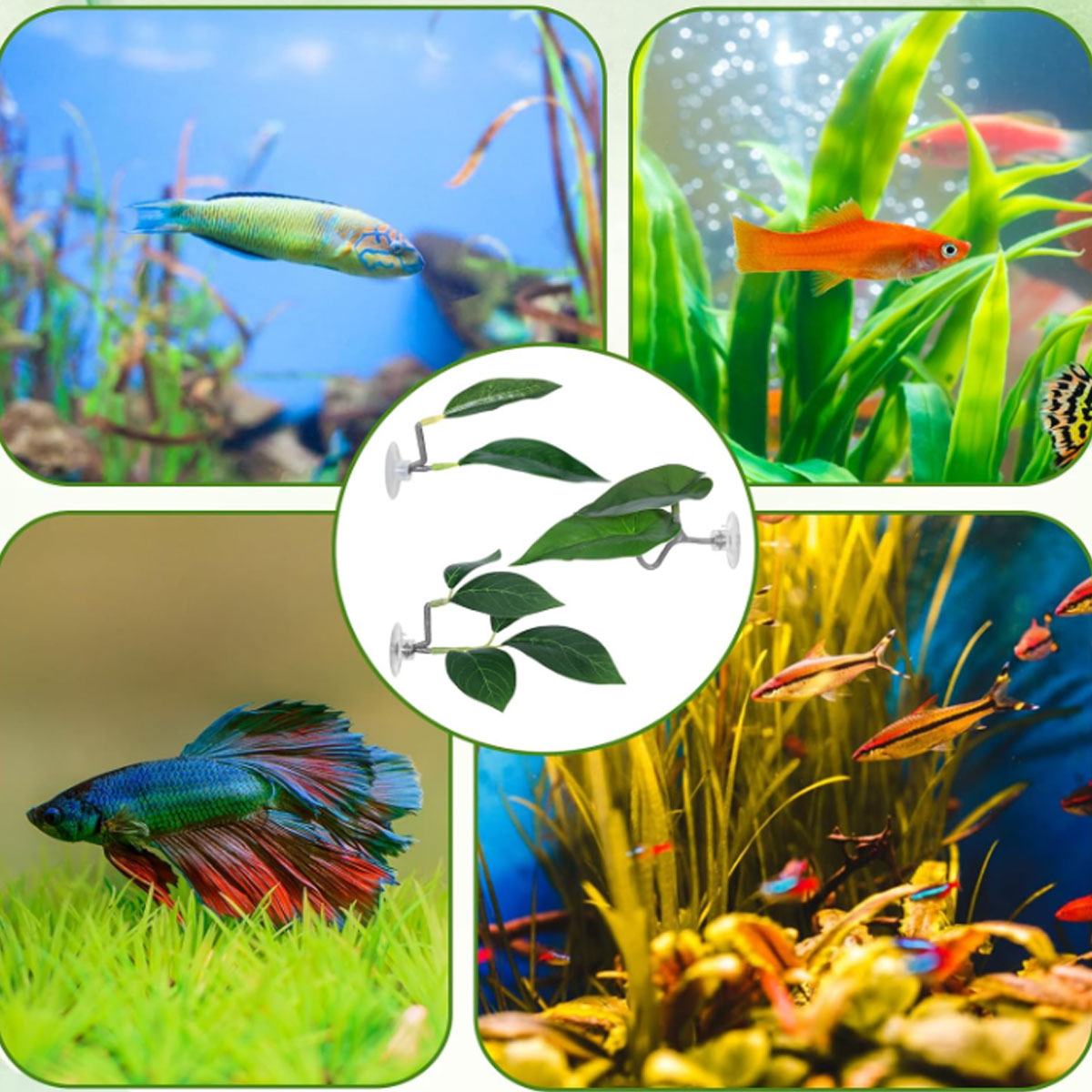 1 PC Betta Fish Hammock Soft A - огляд і ціна Aquarium Fish Only