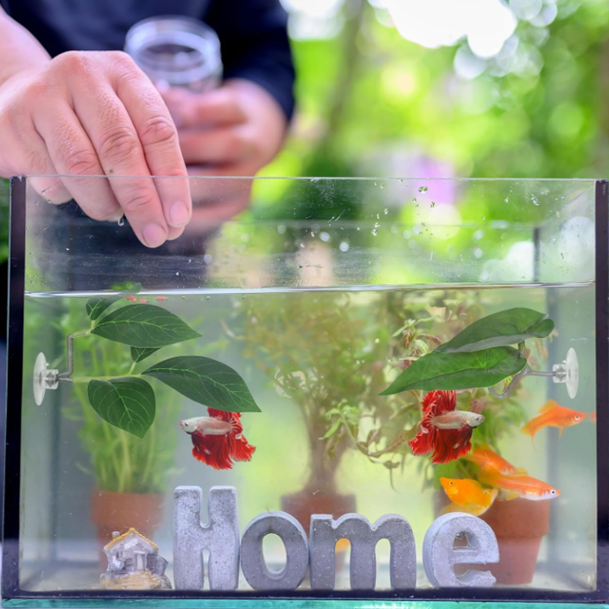 1 PC Betta Fish Hammock Soft A - огляд і ціна Aquarium Fish Only