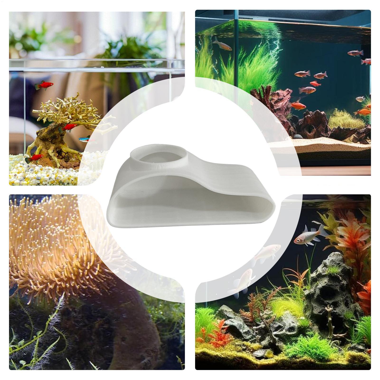 Aquarium Underground Tunnel Ca - огляд і ціна Aquarium Fish Restaurant