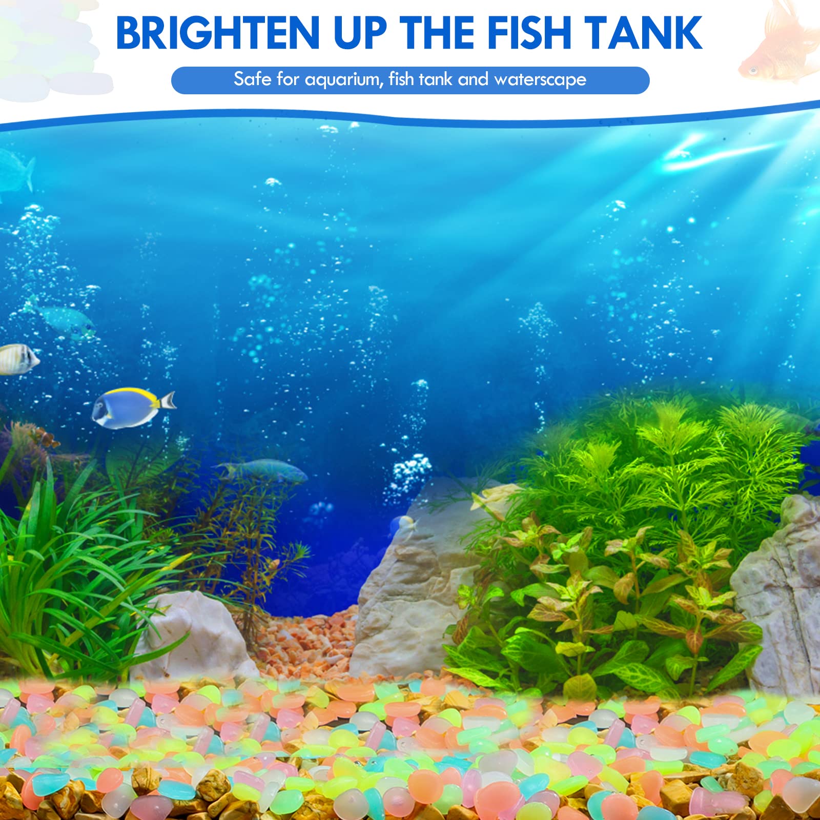 100Pcs Glow in the Dark Garden - огляд і ціна Aquarium Fish Bowl