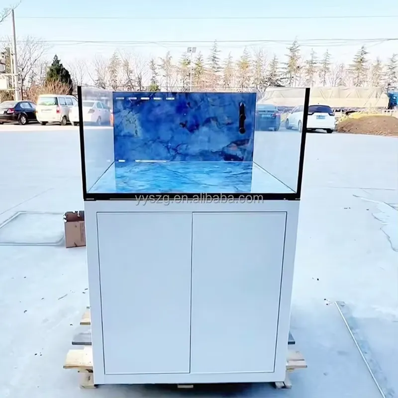 2.6Ft Square Rectangle Glass A - огляд і ціна Aquarium Fish Restaurant