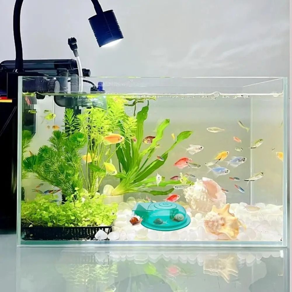 Freshwater Saltwater Aquarium  - огляд і ціна Aquarium Fish Escape