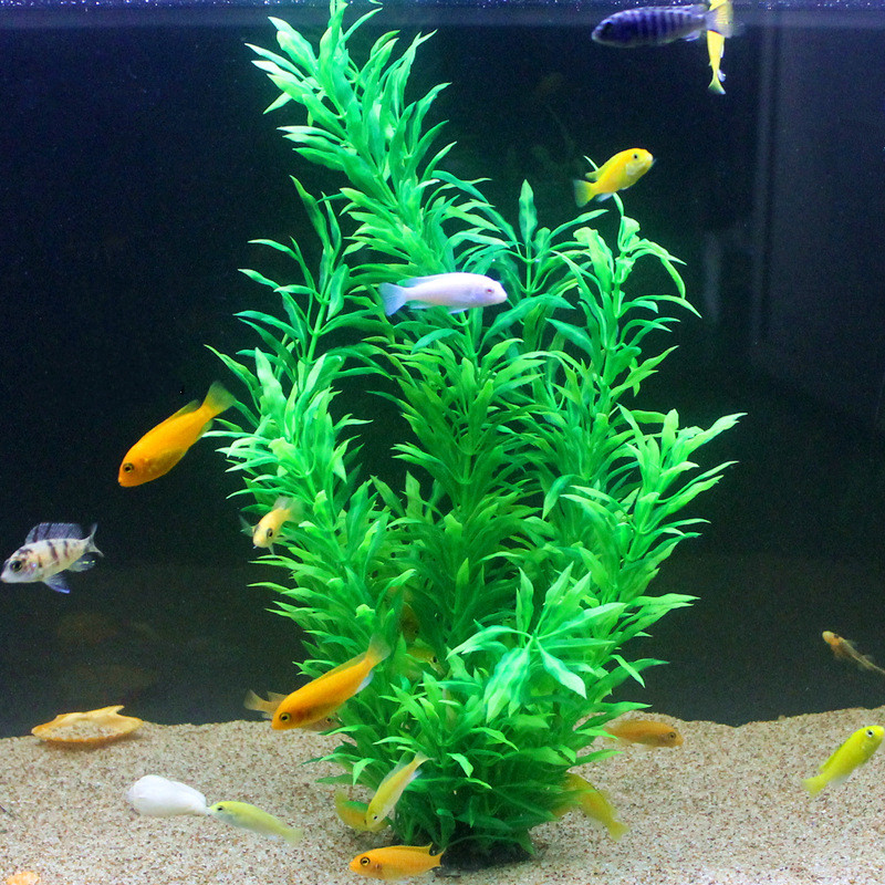 50CM Artificial Fish Tank Rare - огляд і ціна Aquarium Fish Only