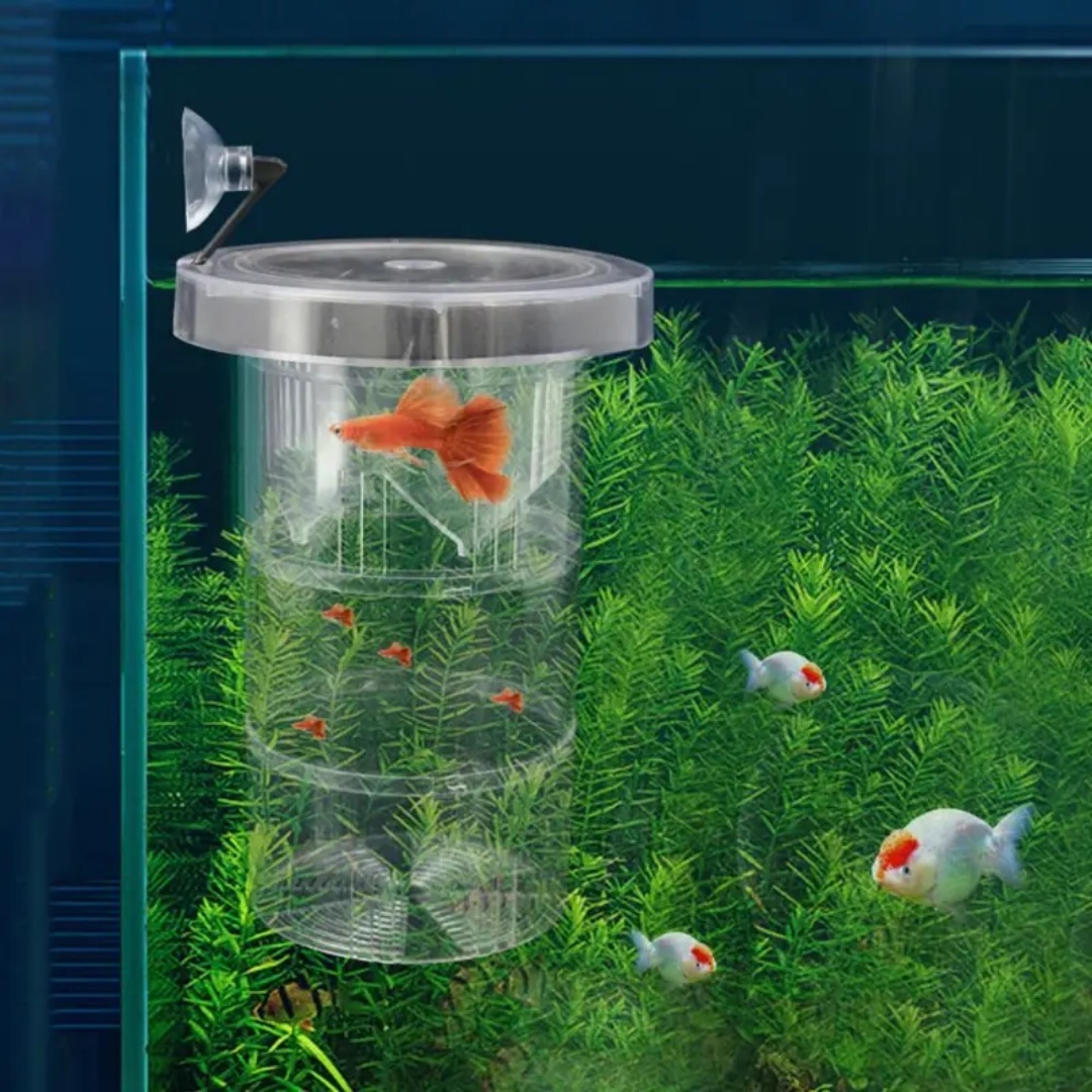 Acrylic Floating Fish Breeding - огляд і ціна Aquarium Fish Escape