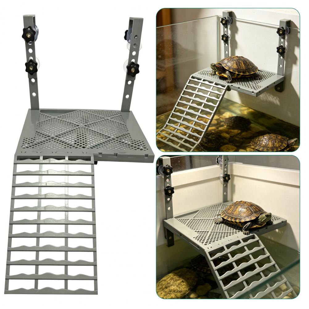 Aquarium Decoration Solid Form - огляд і ціна Aquarium Fish Types