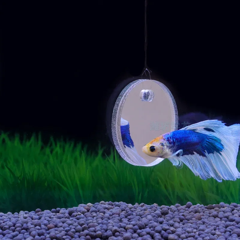 Aquarium Betta Mirror Fish Tan - огляд і ціна Aquarium Fish Escape