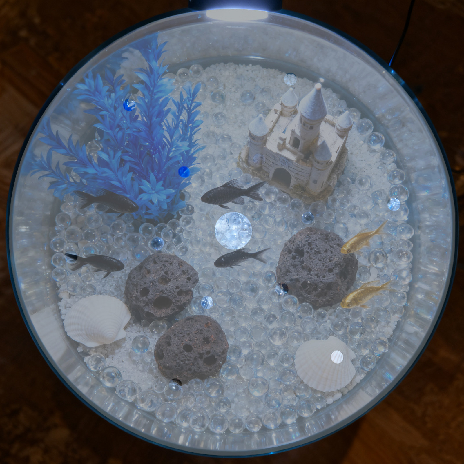 7 Inch Round Acrylic Fish Tank - огляд і ціна Aquarium Fish Escape